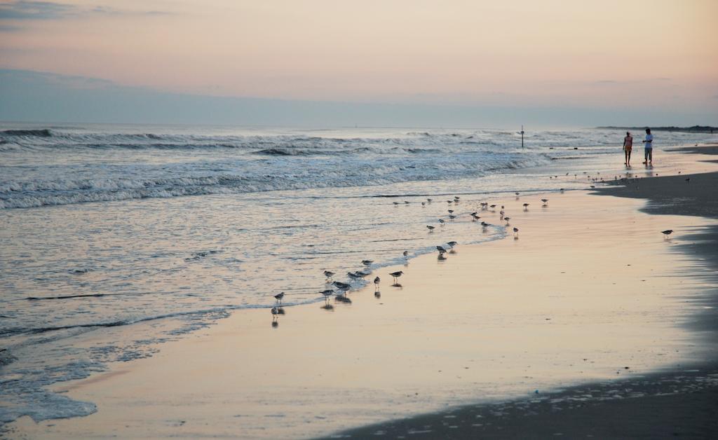 Shalimar Resort Wildwood Crest Dış mekan fotoğraf