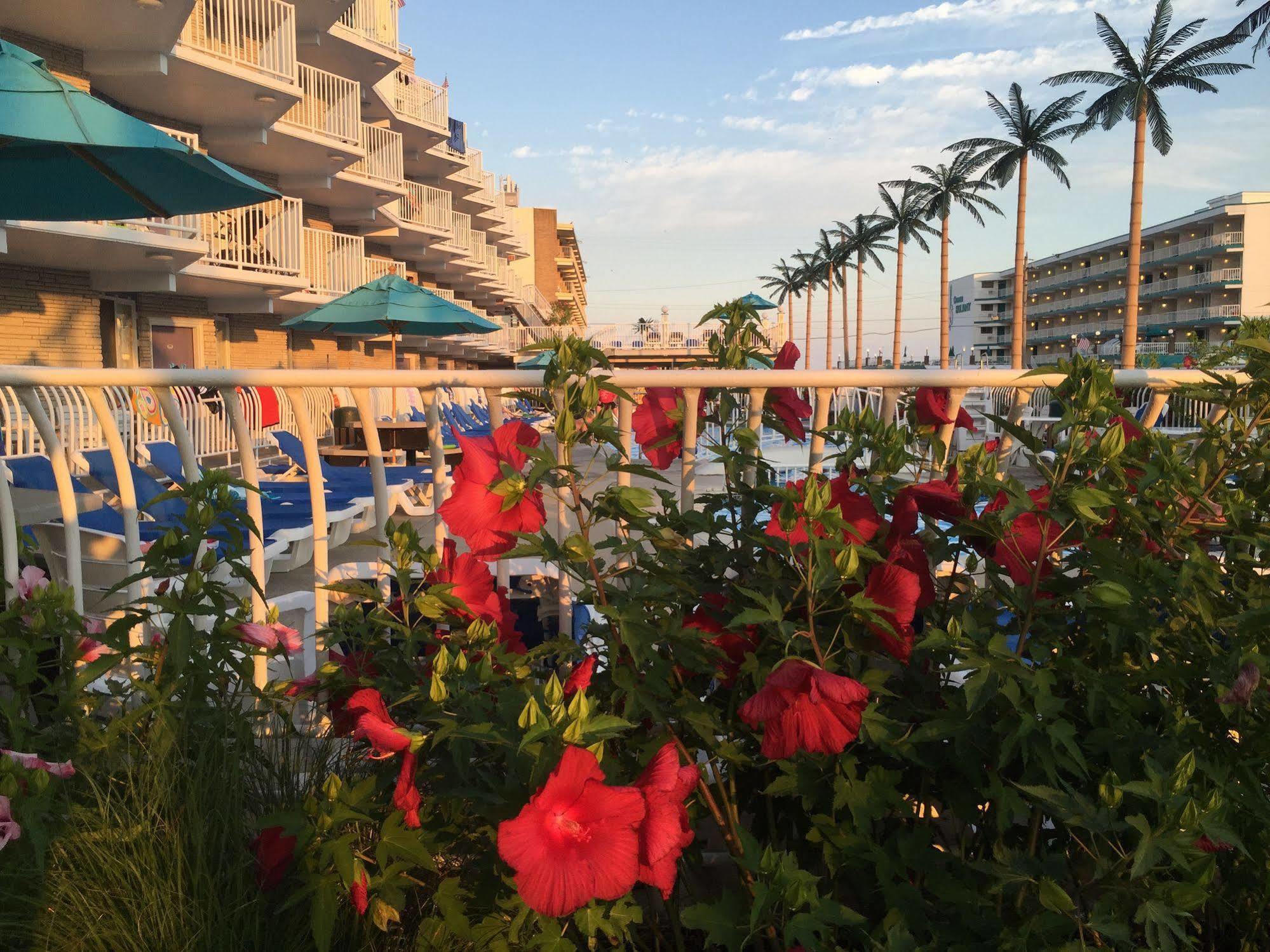 Shalimar Resort Wildwood Crest Dış mekan fotoğraf